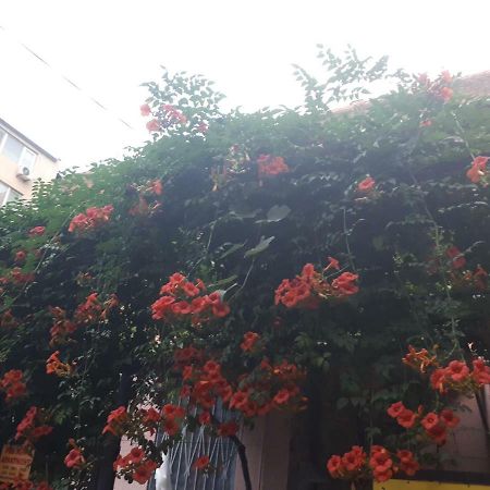 Agmashenebeli95 Tbilisi Exterior foto