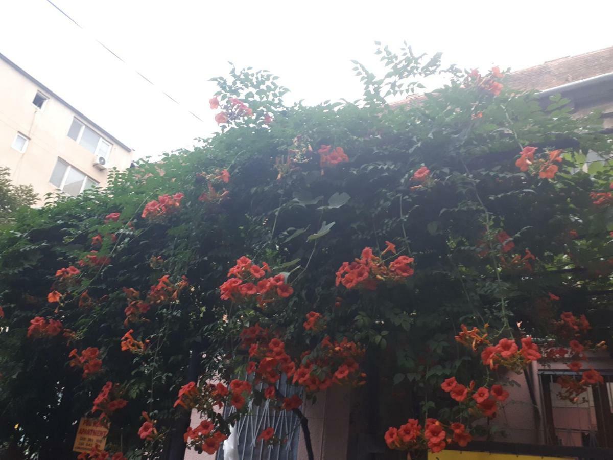 Agmashenebeli95 Tbilisi Exterior foto